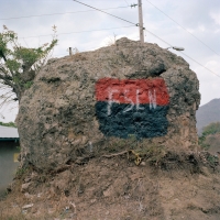 Frente Sandinista de Liberación Nacional (FSLN) 