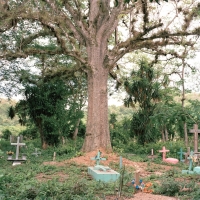 Cemetery outside of Quilali, Nuevo Segovia 